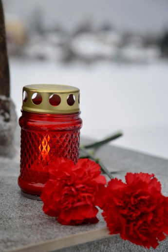 🕯 В Горемыкинском парке прошел митинг, посвященный Дню защитника Отечества